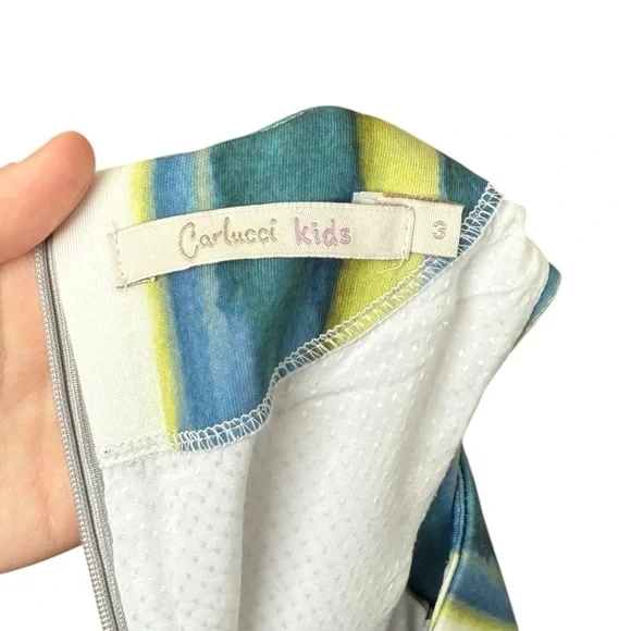 Carlucci Kids Sleeveless Feather Print Dress Girl Size 3T Gray Blue Formal Lined - Picture 9 of 10